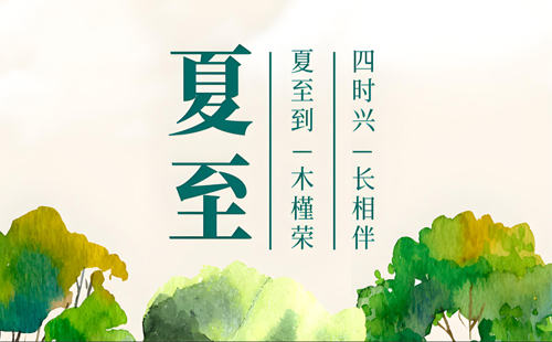 夏至绿意浓，环城智慧环保与您共筑绿色未来
